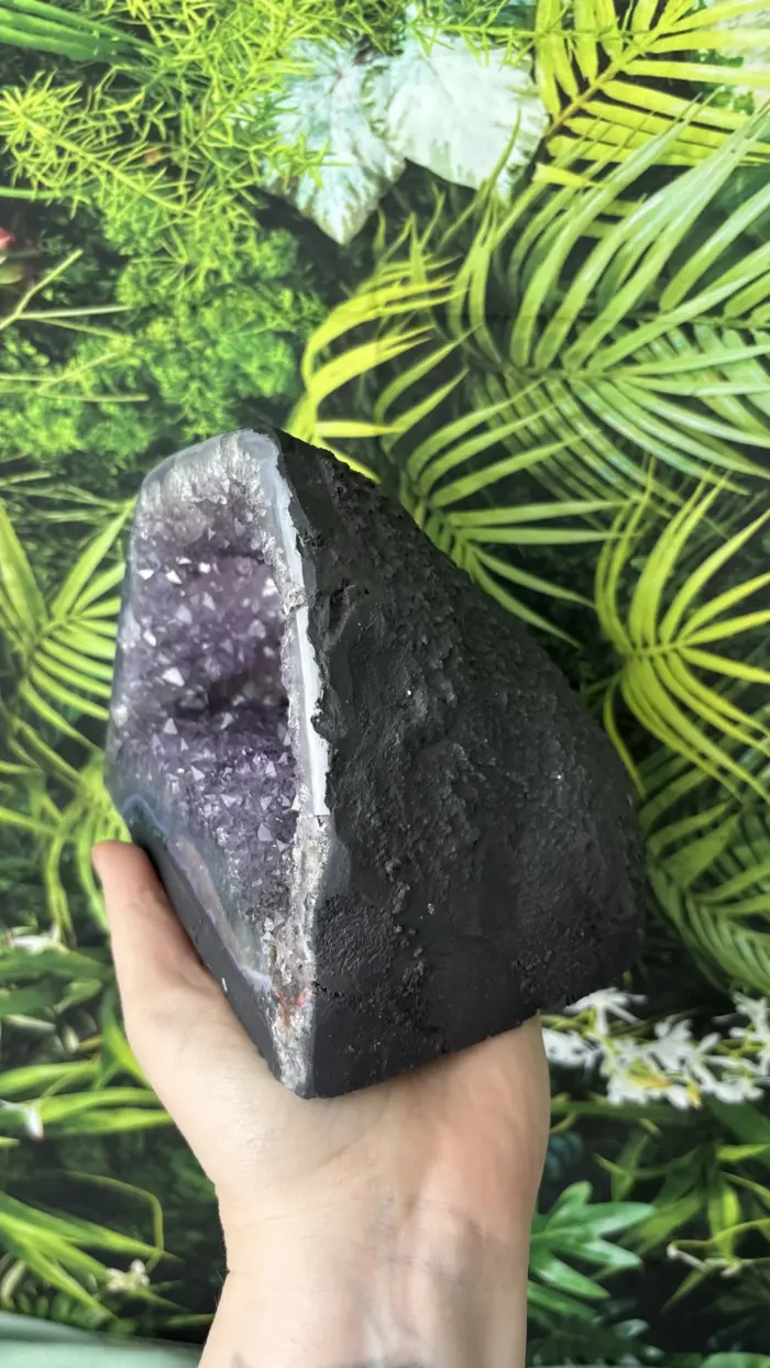 💜 Amethystdruse mit leuchtenden Spitzen – Dein violetter Kraftplatz für Energie, Klarheit & Schutz 3 Nursesoulangel