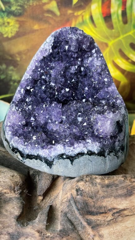 💜Amethystdruse aus Brasilien – 649 g | 8,5 cm | Handverlesen aus Idar-Oberstein | Für Meditation & Schutz