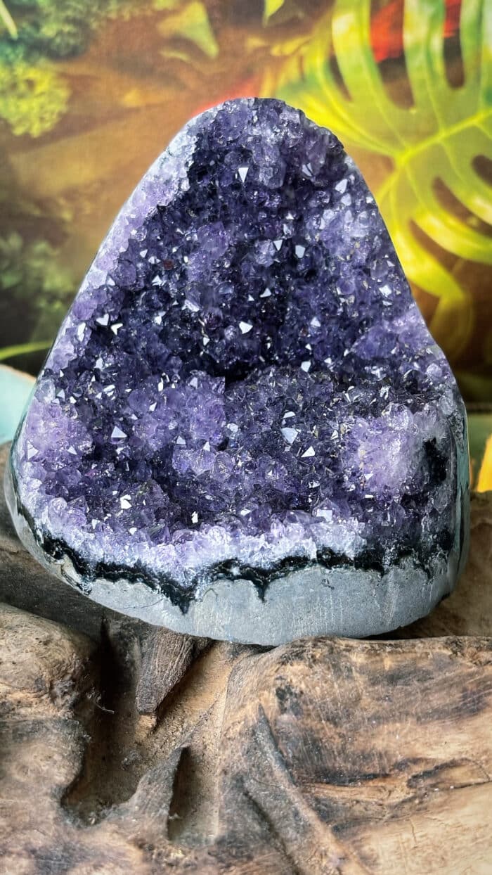 💜Amethystdruse aus Brasilien – 649 g | 8,5 cm | Handverlesen aus Idar-Oberstein | Für Meditation & Schutz 1 Nursesoulangel