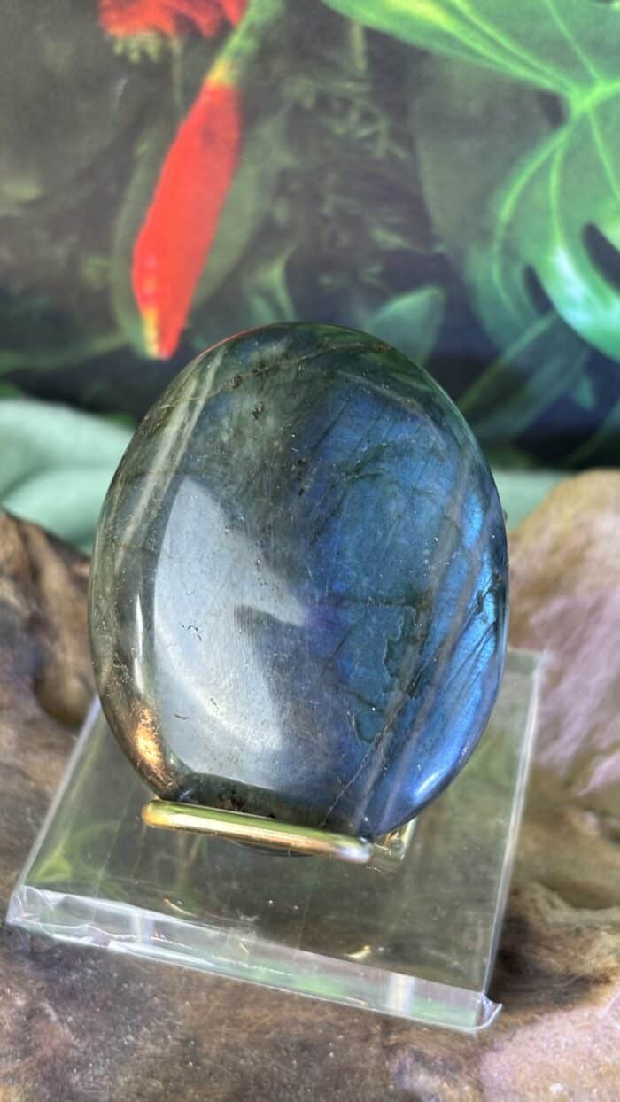 🌌 Labradorit Oval mit blauem Schimmer – Intuition. Schutz. Seelenmagie. 🌌 5 Nursesoulangel