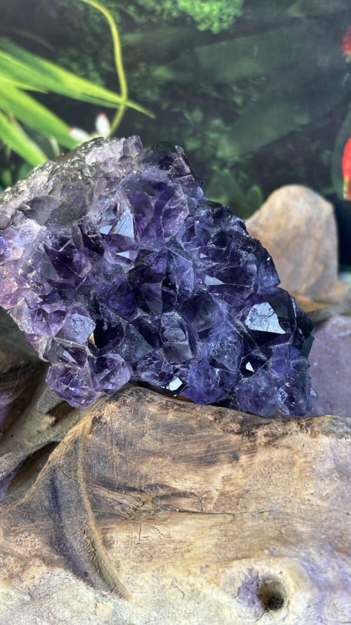 💎 Magische Amethyst-Stufe mit kraftvollen Spitzen – Unikat – Bild 3