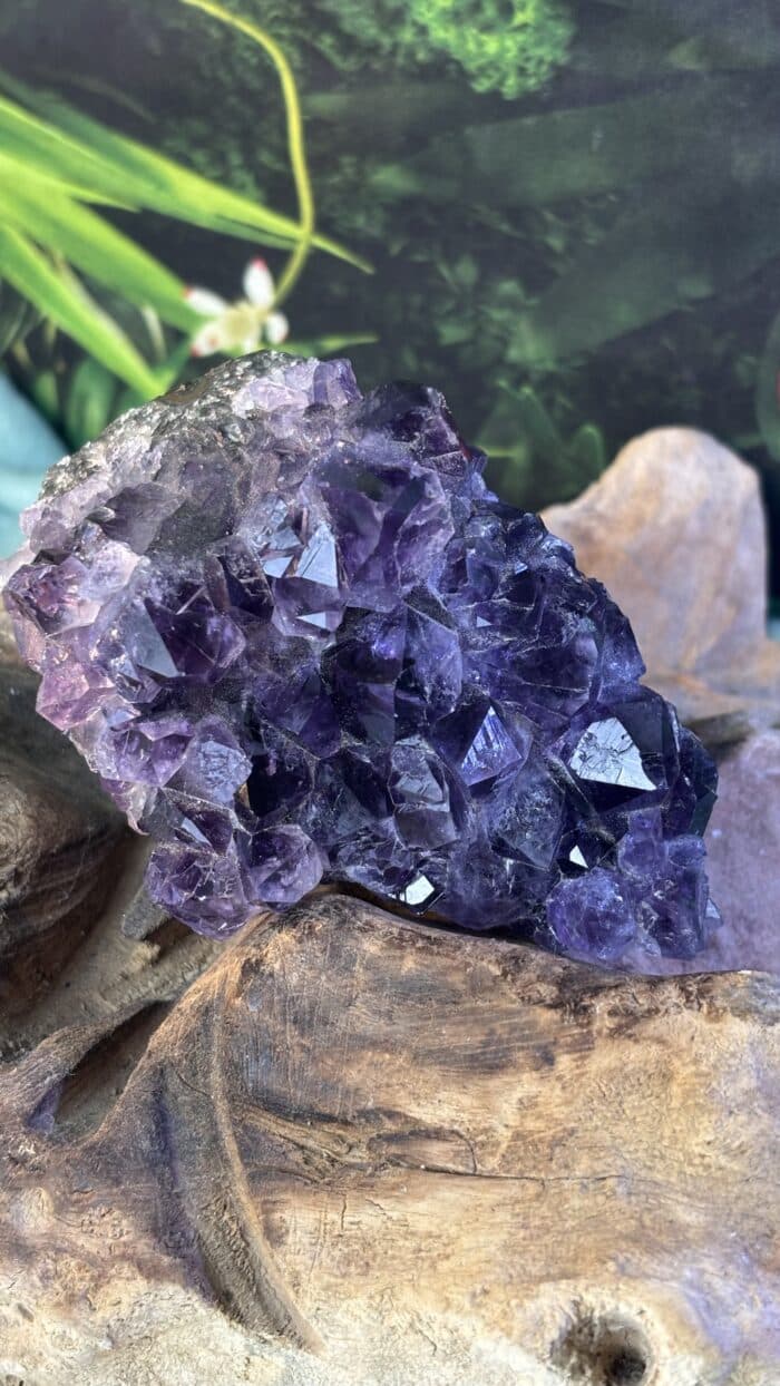 💎 Magische Amethyst-Stufe mit kraftvollen Spitzen – Unikat – Bild 2