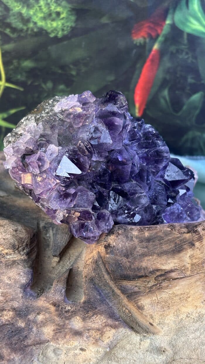 💎 Magische Amethyst-Stufe mit kraftvollen Spitzen – Unikat – Bild 1
