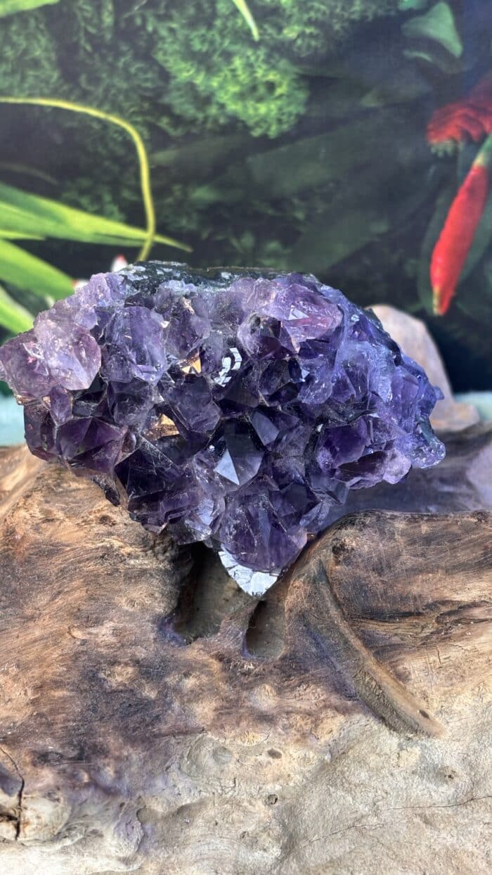 💎 Magische Amethyst-Stufe mit kraftvollen Spitzen – Unikat – Bild 5