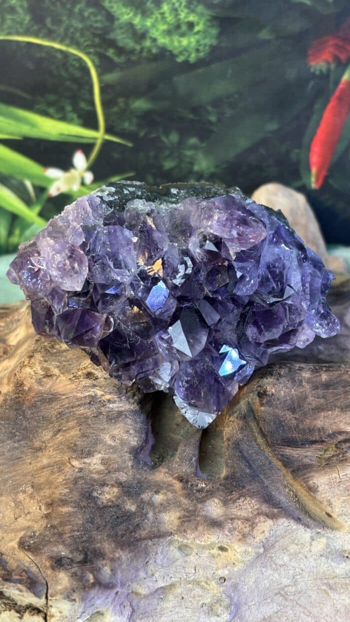 💎 Magische Amethyst-Stufe mit kraftvollen Spitzen – Unikat – Bild 6