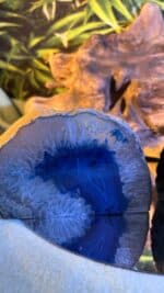 🔵 Magischer blauer Achat-Teelichthalter (gefärbt) – Bild 5