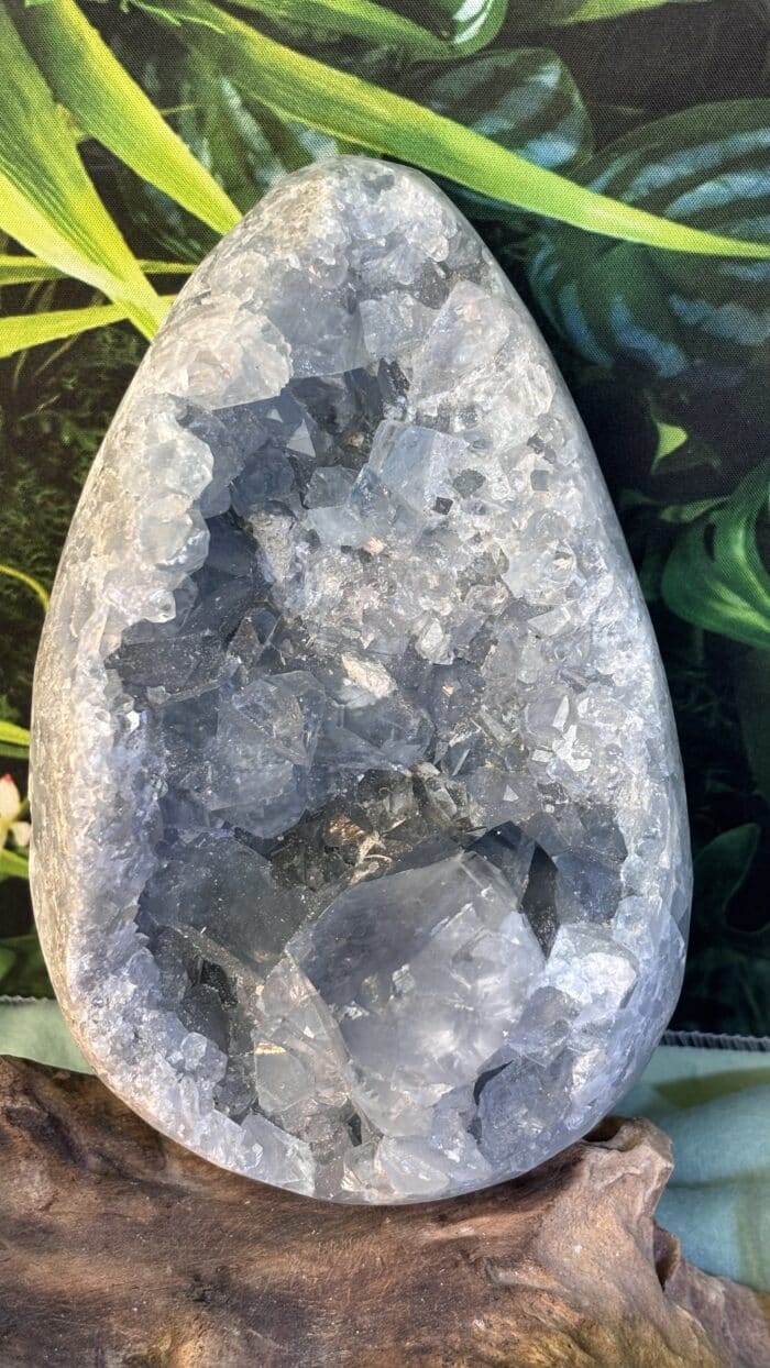 🩵 Magisches Blauer Coelestin Kristall-Ei – Bild 7
