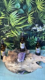 🍀 Farfalla Lebensfreude – Vanille & Mandarine Glücksmomente – Bild 2