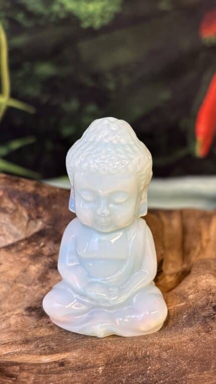 🤍 Magischer Opal Buddha
