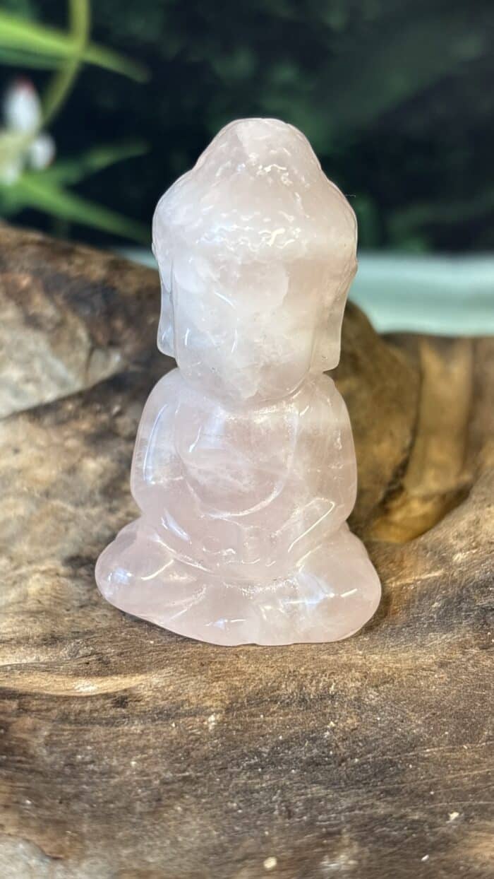 💗 Rosenquarz Buddha – Bild 1