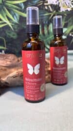 🌟 Farfalla Bio-Raumspray – Weihnachtsstern – Bild 5