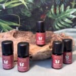 Labradorit und seine Wirkung 29 Nursesoulangel