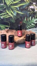 🌟 Farfalla Bio-Aromamischung – Weihnachtsstern