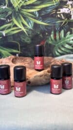 🌟 Farfalla Bio-Aromamischung – Weihnachtsstern – Bild 4