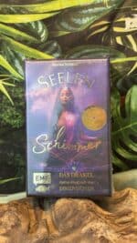 🌟 Marisa Schmid – Seelen Schimmer Orakel | 45 Orakelkarten mit Goldschnitt – Bild 5