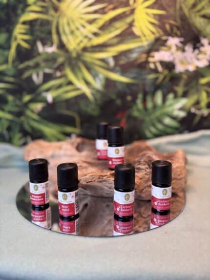 ❄️ Primavera Duftmischung – Winterzauber | 5 ml | Bio-Qualität | Herkunft: Allgäu