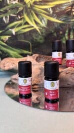 🍎 Primavera Duftmischung – Bratapfel | 5 ml | Bio-Qualität | Herkunft: Allgäu – Bild 3